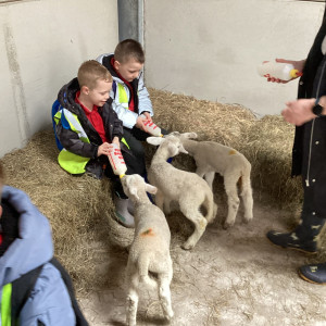 EYFS Farm Visit 2