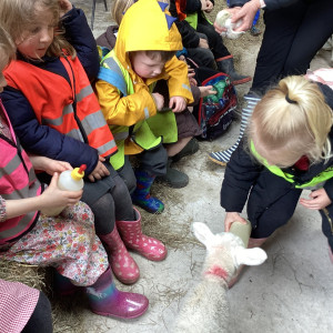 EYFS Farm Visit 5