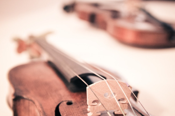 violin-338518_1280