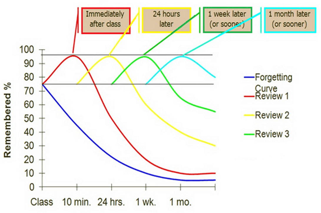 Steps 2 Revise