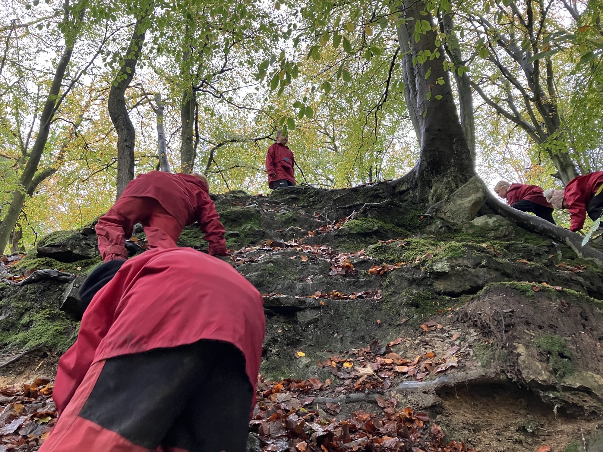 Adventures on the way to shelter building 1