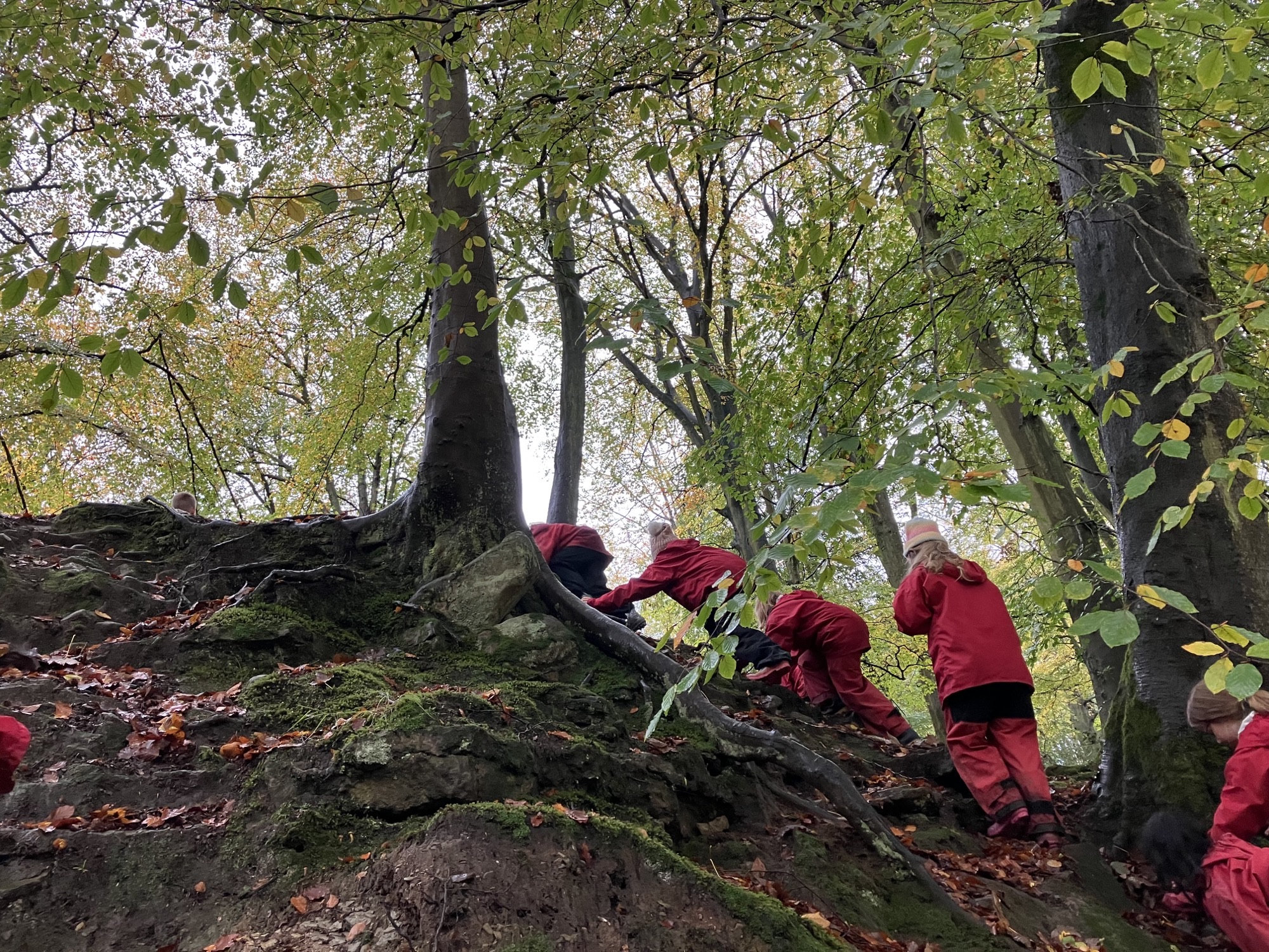 Adventures on the way to shelter building